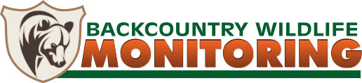 Backcountry Wildlife Monitoring