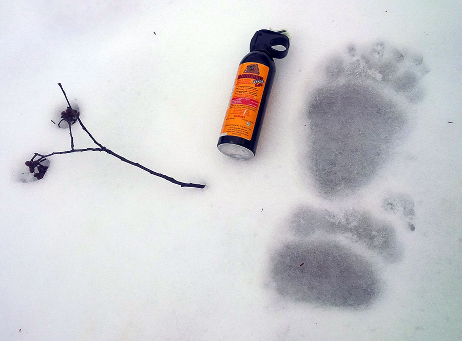 Bear Safety and Bear Spray Training