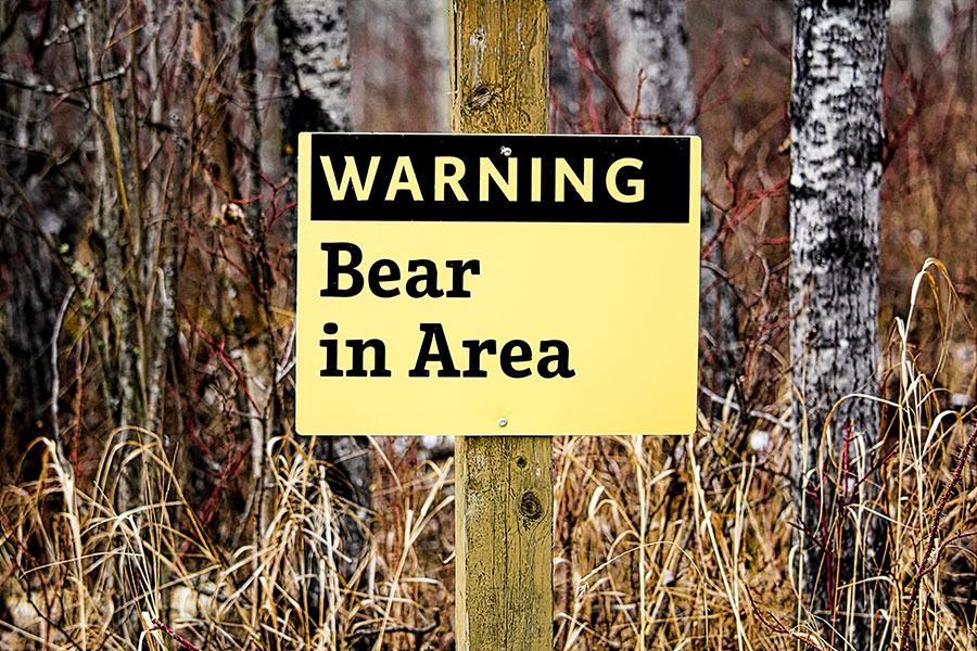 Warning Bear Sign