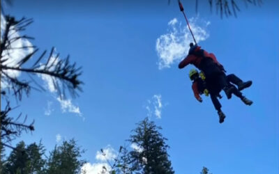 Grizzly Bear Attack